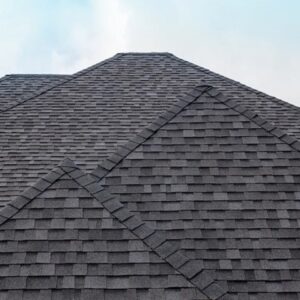 Roof Shingles